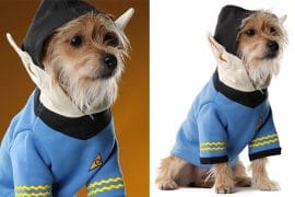 Il costume da cane vulcaniano costume-cani-star-trek