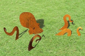 La piovra da giardino
