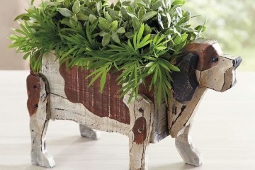 Bucky the dog box