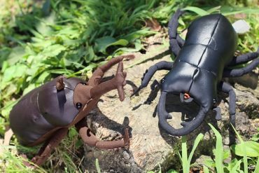 Gli scarabei di peluche