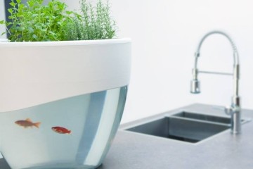 Aquaponics