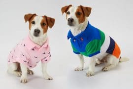 Abbigliamento Ralph Lauren per cani abbigliamento-ralph-lauren-per-cani