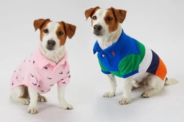 Abbigliamento Ralph Lauren per cani
