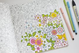 Libro da colorare Il giardino segreto libro-da-colorare-giardino-segreto