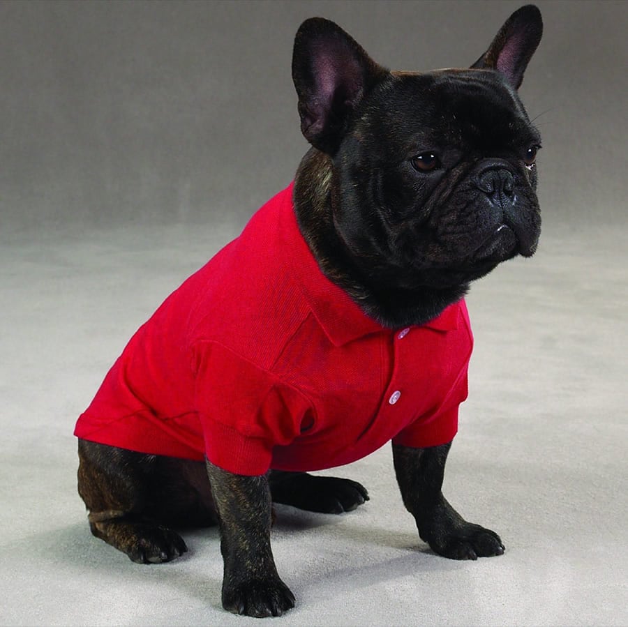polo-per-cani-1