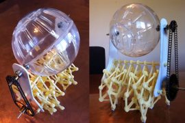 Robot per criceti robot-per-criceti