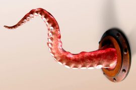 Tentacolo da parete tentacolo-da-parete