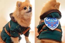 Costume per cani di Zelda costume-per-cani-zelda