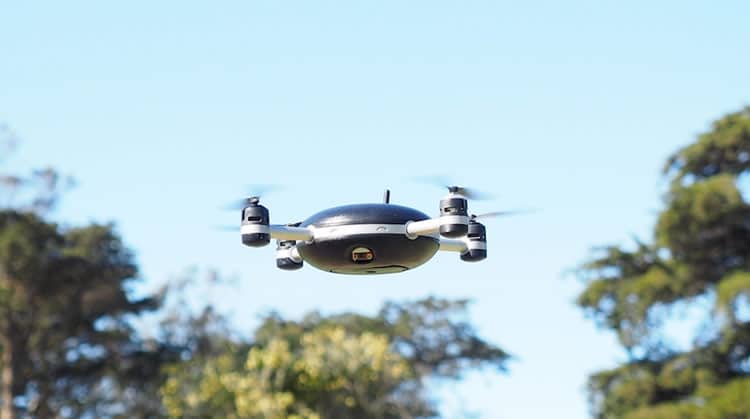 lily-drone-1