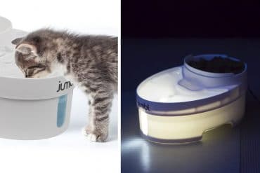 La miglior ciotola per animali