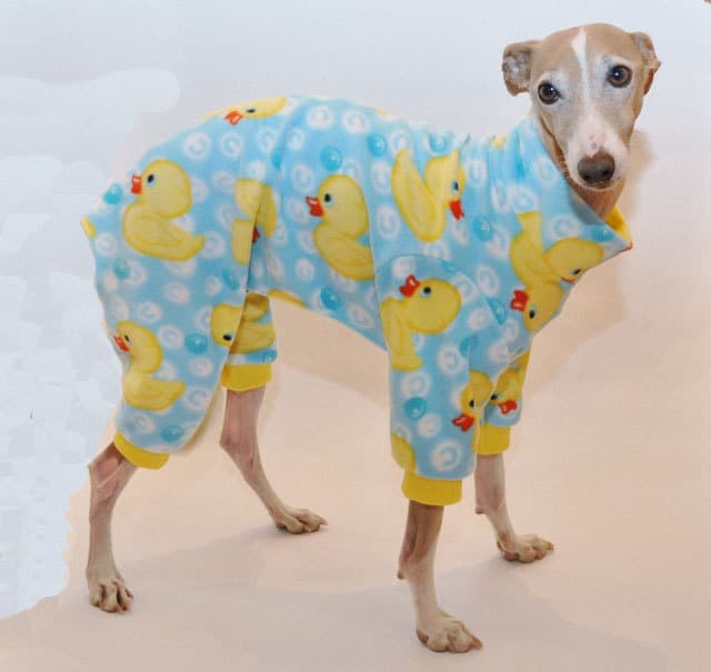 pigiama-per-cani-paperelle