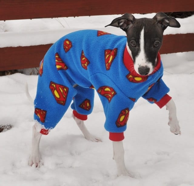 pigiama-per-cani-superman