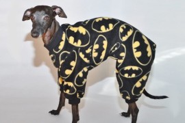 I pigiami per cani pigiami-per-cani