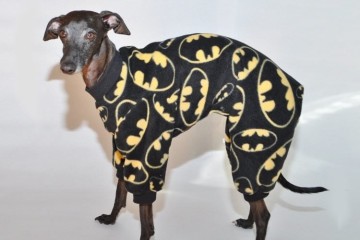 I pigiami per cani