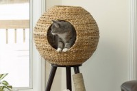 La sfera per il gatto torre-per-gatto