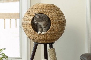 La sfera per il gatto