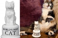 Il trofeo per il miglior gatto trofeo-miglior-gatto