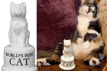 Il trofeo per il miglior gatto