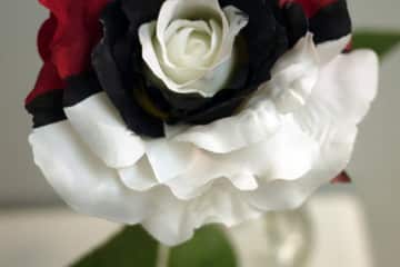 Le rose Pokeball