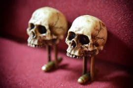 I gemelli teschio gemelli-teschio
