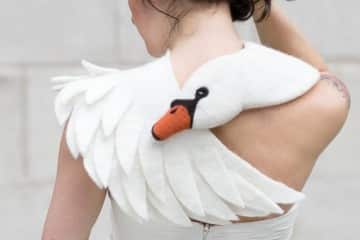 Le sciarpe cigno