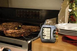 Termometro per carne multiplo termometro-griglia
