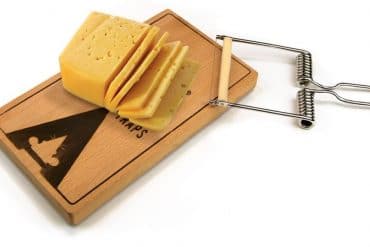 La trappola per formaggio