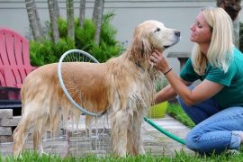 Woof Washer 360 woof-washer-360