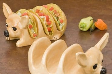 Chihuahua porta taco