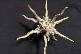 Dado da 20 tentacolato dado-d20-kraken