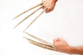 Artigli ossei di Wolverine artigli-ossei-wolverine