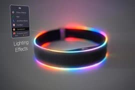 Buddy, il collare LED buddy collar