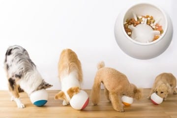 Ciotola per cani Oppo Ball