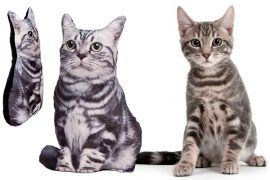 Il cuscino Tabby Cat cuscino-gatto