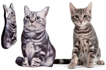 Il cuscino Tabby Cat