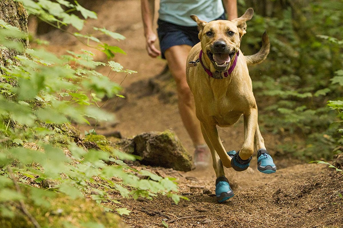 scarpe-per-cani-ruffwear-trex-1