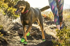 Scarpe da outdoor per cani scarpe-per-cani-ruffwear-trex-2