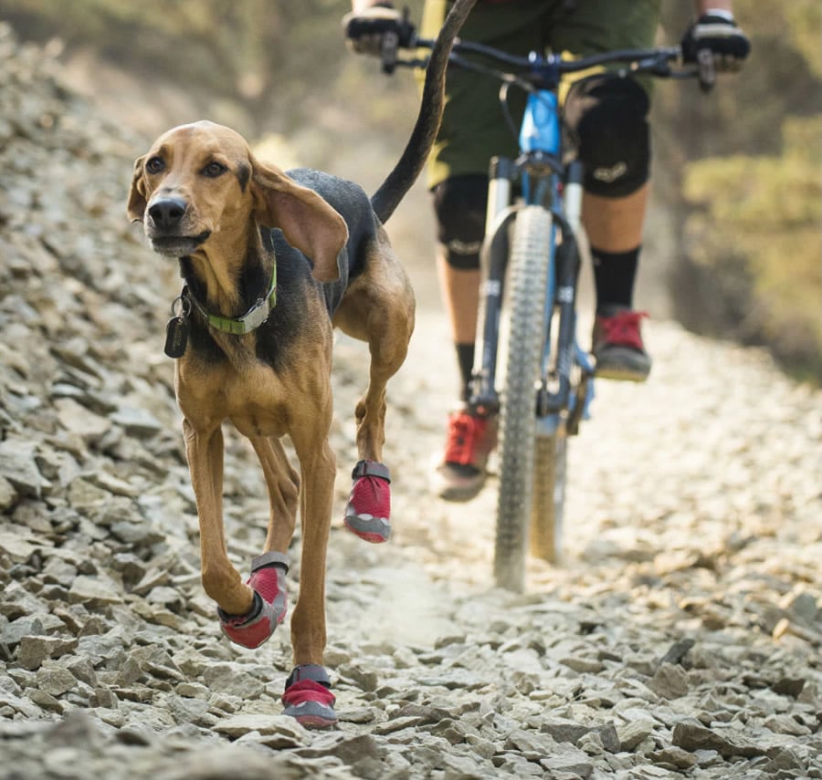 scarpe-per-cani-ruffwear-trex-3