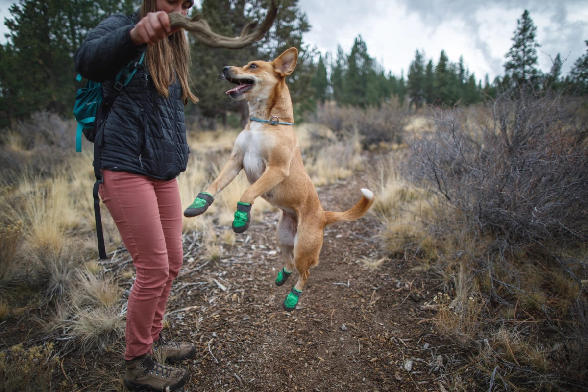 scarpe-per-cani-ruffwear-trex