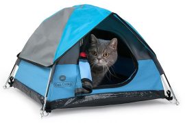 La tenda per gatti tenda-per-gatti