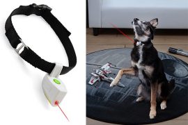 Il collare con puntatore laser collare-laser-per-cani