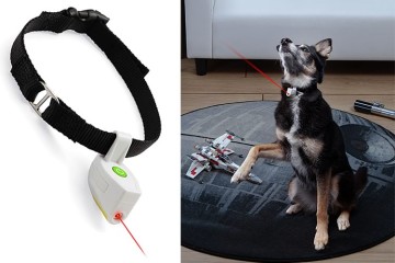 Il collare con puntatore laser