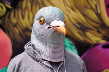 La maschera da piccione