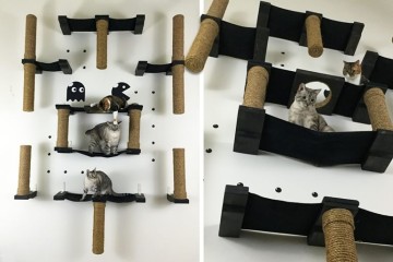 Pac-Man per gatti