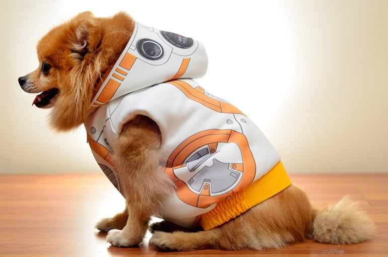 costume-per-cani-bb-8-star-wars