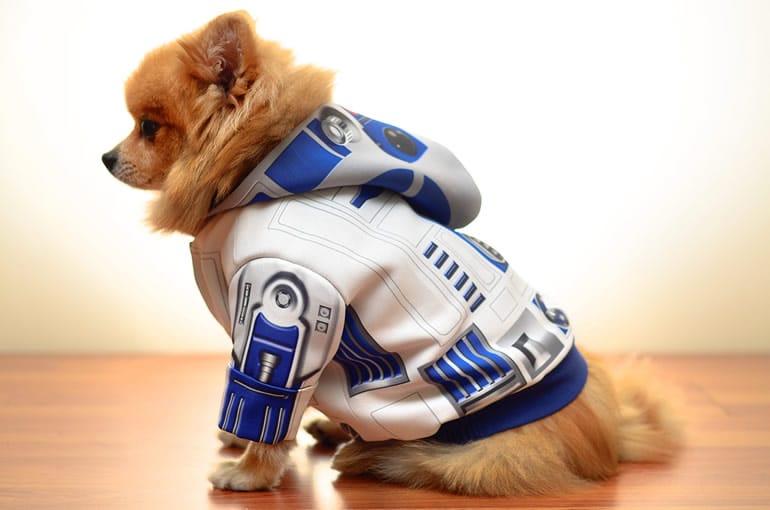 costume-per-cani-r2-d2-star-wars
