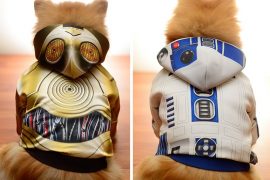 Costumi per cani Star Wars costumi-per-cani-star-wars
