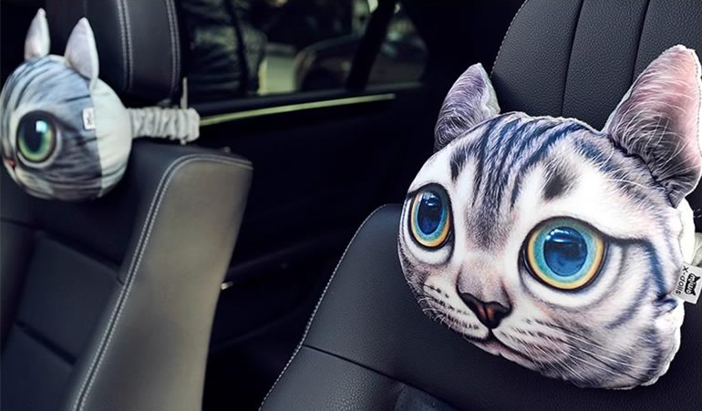 cuscini-da-auto-gatto