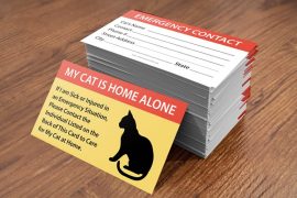 Pet Care Card pet-care-card