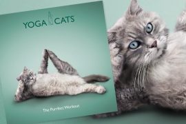 Libro Yoga Cats yoga-per-gatti